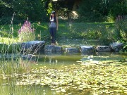 595  small pond in Langendorf.JPG